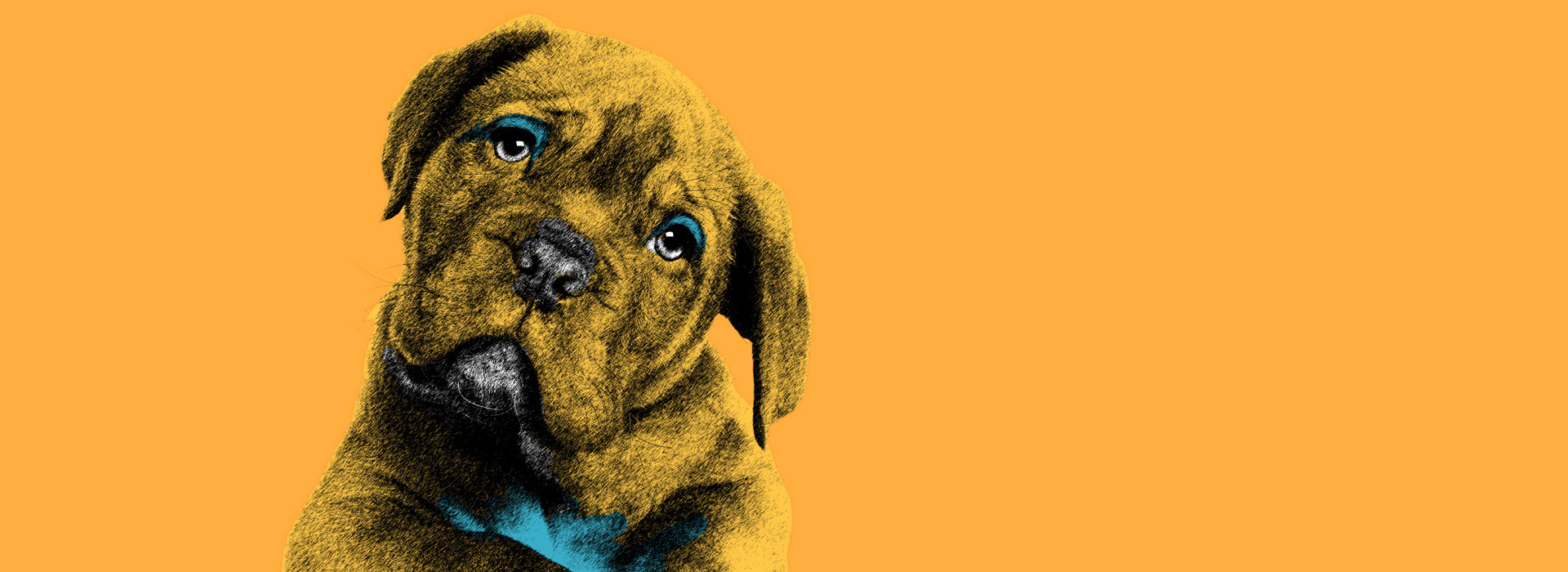 Pop Art Canvas